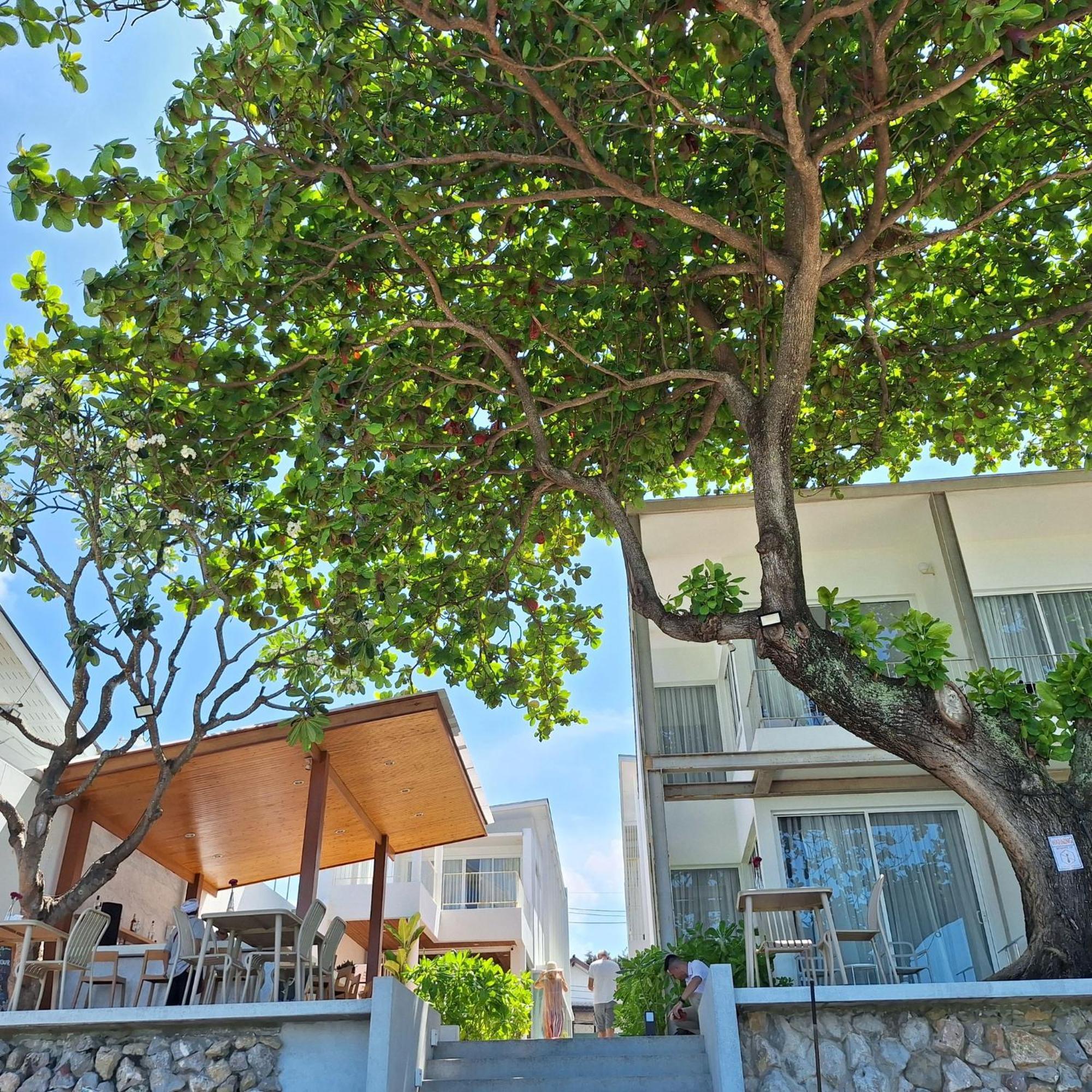Baanfah Resort Samui Mae Nam Beach Exterior foto